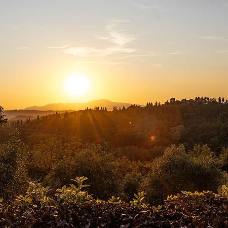 Collebrunacchi B&B San Miniato Exterior foto