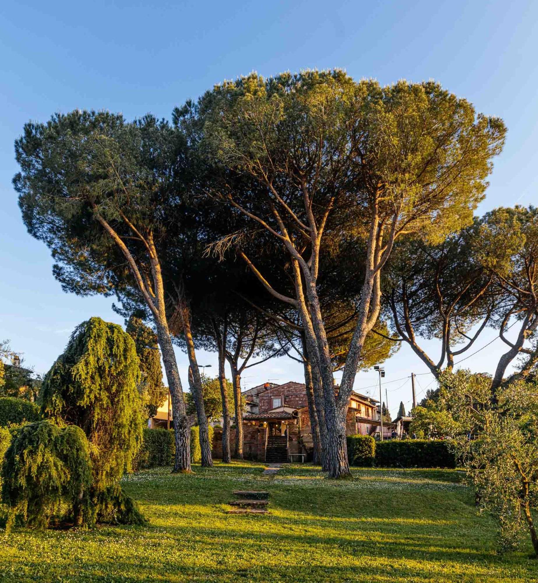 Collebrunacchi B&B San Miniato Exterior foto